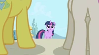 Lemon Hearts and Twinkleshine approach Twilight S01E01