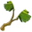 Citronana Cutting