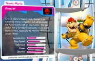 Bowserstats