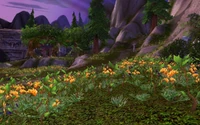 2d5yb-mont hyjal 01.jpg