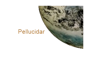 Pellucidar-portal