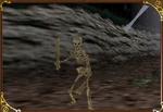 Skeleton2