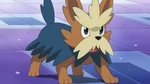 EP714 Herdier de la Oficial Jenny