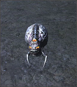 Octababy