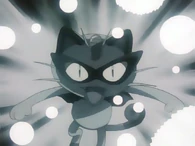 EP123 Meowth usando Día de pago