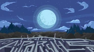 Labyrinth