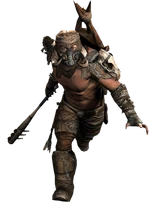 5 jackal