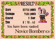 Novice Bomber
