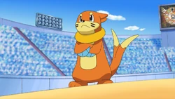Ash Buizel
