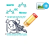 SGPAmeme