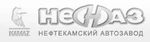 NefAZ logo