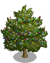 Eastern Red Cedar6-icon