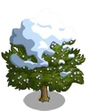 Eastern Red Cedar8-icon