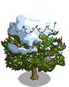 Eastern Red Cedar10-icon