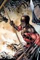 Red Robin 0012