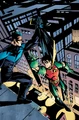 Robin Tim Drake 0092
