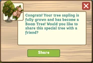 Boom Tree Growth Message