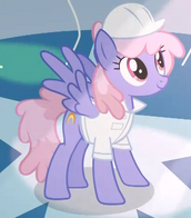 Pegasus ponny