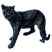 Item shadowcat 01.png