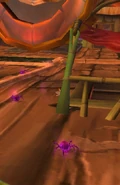 SpiderTrailH