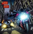Red Robin 0029