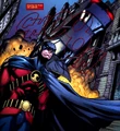 Red Robin 0030