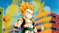 Gotenks.FusionReborn