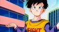 Videl.FusionReborn