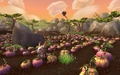 Jade-forest-4.jpg