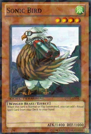 SonicBird-DT05-EN-DNPR-DT.jpg