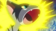 EP646 Glameow usando rayo