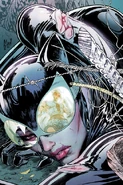 Catwoman Vol 4-5 Cover-1 Teaser