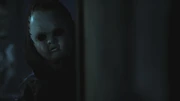 PLL213-01089