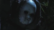 PLL213-01287