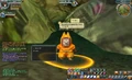 Shu in DBO
