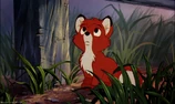 Fox1-disneyscreencaps.com-260