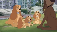Tramp2-disneyscreencaps.com-2867