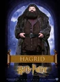 PosterHP1 Rubeus Hagrid.jpg