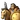 Asabara