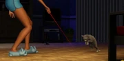 Simspets11