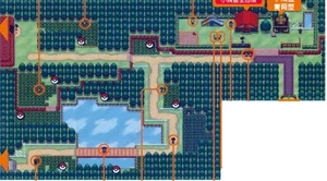 Unova Route 3