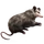 Item opposum 01