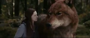 Jacob's Wolf