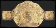 BigGoldbelt