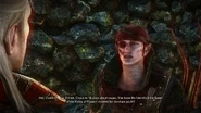 Witcher2 2011-05-27 01-22-55-65