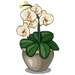 Orchid-icon.png