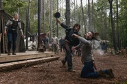 The-walking-dead
