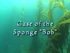Case of The Sponge Bob.jpg