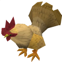 Evil chicken old