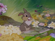 Bambi-disneyscreencaps com-1375